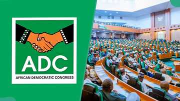 Bauchi: ADC House of Reps candidate resigns from party, gives reason