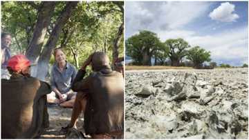 Scientists trace origin of human race to Botswana, Africa