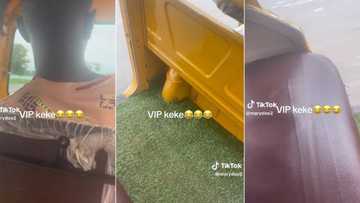 "No more N100": Smart Keke rider redesigns his tricycle, puts carpet, upholstery seats, video trends