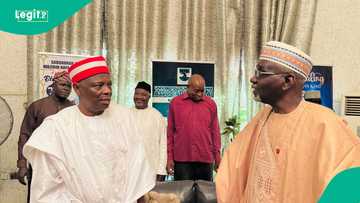 Gaskiya ta fito kan zargin Shekarau ya ce Kwankwaso na yi wa Tinubu aiki