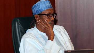 Ka ba mu kunya: Dattijon Borno ya ce shekaru 5 Gwamnatin Buhari ta gaza kawo zaman lafiya