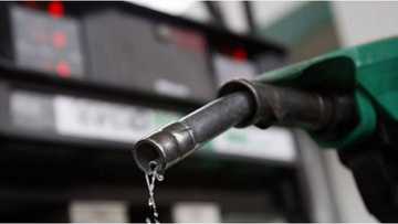 Buhari bai kara ko da N1 a kan farashin litar mai ba – Ministan fetur ya karyata PPPRA