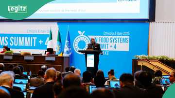 Full list of 10 most populous countries by 2100 as projected by UN