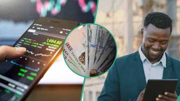 PiggyVest, RiseVest and 8 other top investment apps in Nigeria in 2026