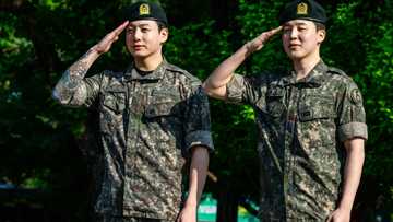 Soft power: BTS fans rally behind Korean international adoptees