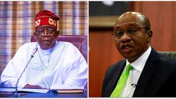 Data confirms Tinubu's claim that under suspended CBN governor Godwin Emefiele, Nigerians got poorer