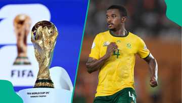 Ex-SAFA chief slams Mokoena as FIFA set to deduct 3 points from South Africa