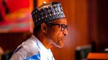 Da duminsa: Buhari ya bukaci a tsananta tsaro a iyakokin tudun kasar nan