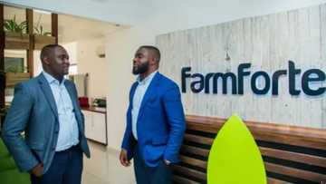 Court orders Agropartnership, Farmforte to fully refund investors' funds, freezes accounts