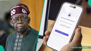 Tinubu launches new mobile app to make identity verification easier for Nigerians