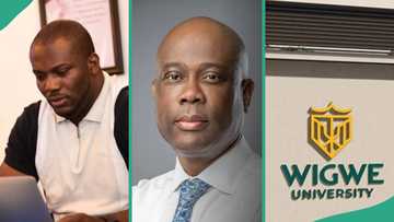 Man kicks as Wigwe University changes its vice chancellor 165 days after demise of Access Bank CEO