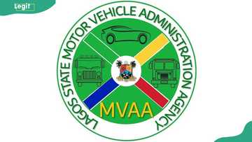 MVAA plate number verification: different ways to verify your vehicle's ownership