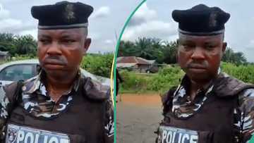 Police officer caught on camera demanding N5k bribe on major Nigerian highway