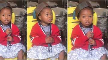 2-year-old girl sings Oniduro Mi with angelic voice in cute video, many say she's perfect on the mic