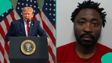 US increases number of Nigerians, other countries to be deported to 5000, releases photos and names