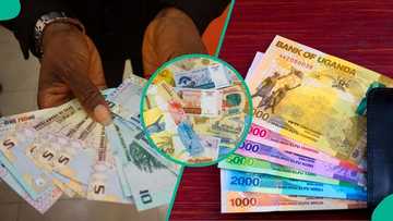 Naira gets new position as report shows Africa’s top 10 weakest currencies in 2024