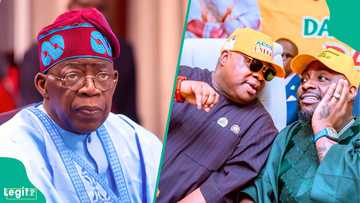 “Davido would have been arrested”: Presidency speaks on singer’s actions during Osun election