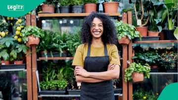 FG launches new funding for creative minds, beneficiaries to get $100,000