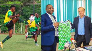 Panic as minister of sports 'attacks' Super Eagles boss Gernot Rohr ahead of Mexico friendly game