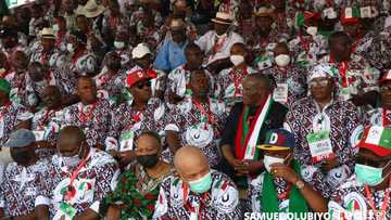 PDP Convention: Anxiety as Oyinlola, Ciroma refuse to step down for PDP consensus candidates