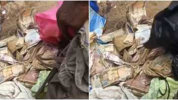Money dey dat business: People shocked as beggar is discovered with bundles of cash in Lagos, video goes viral