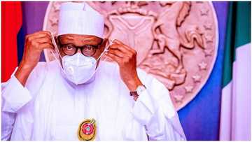 Why Buhari won’t hand over Nigeria to a corrupt leader, Influential northern senator shares stunning details