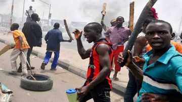 Tura ta kai bango: Mutanen gari da 'yan sintiri sun kashe 'yan ta'adda 5 a Katsina