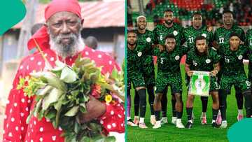 Popular spiritual leader predicts doom for Super Eagles if NFF fails to appoint a local coach
