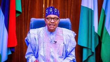 Buhari ya aike muhimmin sako ga 'yan Najeriya yayin Maulidi