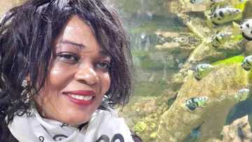 Nigeria @ 61: Queen Zainab Abiola tasks Buhari on Women's Affirmative Action