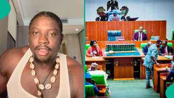 VDM reacts as House of Reps orders NCC to shut down adult sites, shares why it is not a smart move