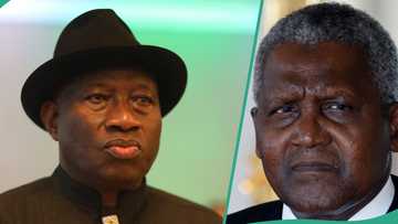 How Jonathan ‘begged’ Dangote to go into oil refining, Reno Omokri speaks