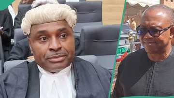 BREAKING: Kenneth Okonkwo finally dumps Peter Obi, Labour Party, gives reasons