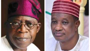 Babban abin da ya sa aka shirya Maulidin Tinubu a jihar Kano – Jigon Kwankwasiyya