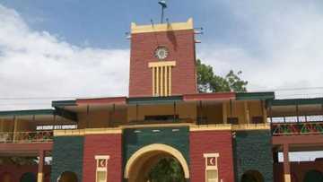 Masarautar Katsina Ta Sake Tuɓe Rawanin Basarake Da Ke Haɗa Baki Da Ƴan Ta'adda