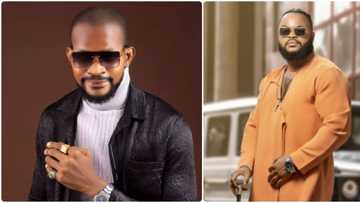 Learn from Efe, invest your win in cooking business: Uche Maduagwu advises Whitemoney to drop music career
