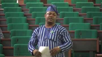 Nigeria stuck in dark uncivilised age - Dogara mourns killing of Honourable ‘Sugar’