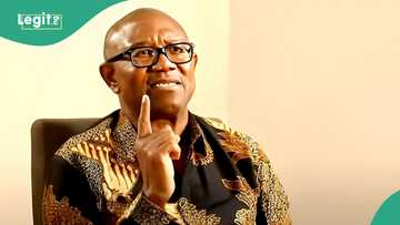 2027 election: "Why I want to be president for one-single term," Peter Obi speaks