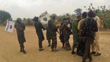 Hare-hare: Buhari ya bayyana abinda mayaƙan Boko Haram ke nema