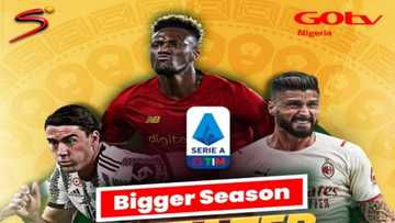 Excitements as New Football Season Returns, Tottenham & Southampton go Head-to-Head on DStv, GOtv