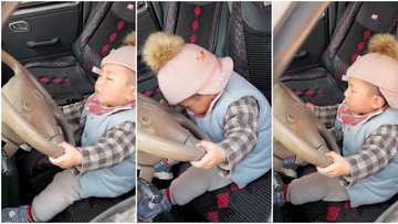 "Don't drink and drive": Boy sleeps off while on car steering, viral video gets 2.7 million views on TikTok