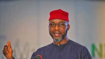 2023 election: Only south east presidency can guarantee national stability - Osita Chidoka