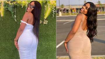 Curvy young lady resigns from company after months of unpaid salaries, becomes an entrepreneur