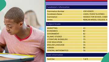 WAEC result of student who wants to study business admin trends online as he scores A1 in marketing