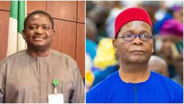 Joe Igbokwe: When it’s a crime to love Buhari, Nigeria, Igbo land by Femi Adesina