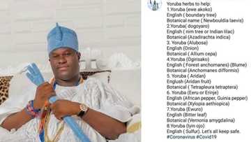 Let's try from Osun - Nigerians react as Ooni of Ife Oba Ogunwusi reveals cure for coronavirus