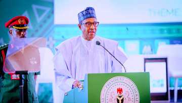 Mulki Ba Sauki: Shanu Na Sun Fi Saukin Juyawa Akan ’Yan Najeriya, Cewar Buhari