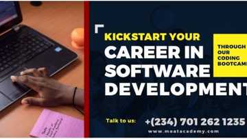 A pathway to becoming a remarkable software developer