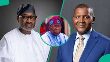 Billionaire Otedola gives Dangote's refinery a "nickname", commends Tinubu