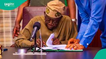 Jubilation as Tinubu makes major, historic appointment